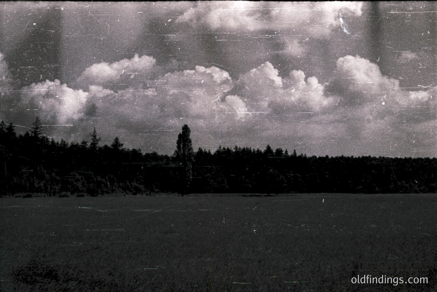 Vintage photograph