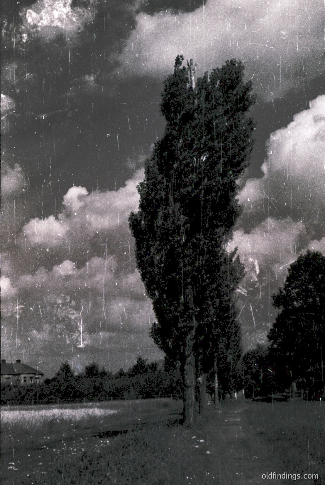 Vintage photograph