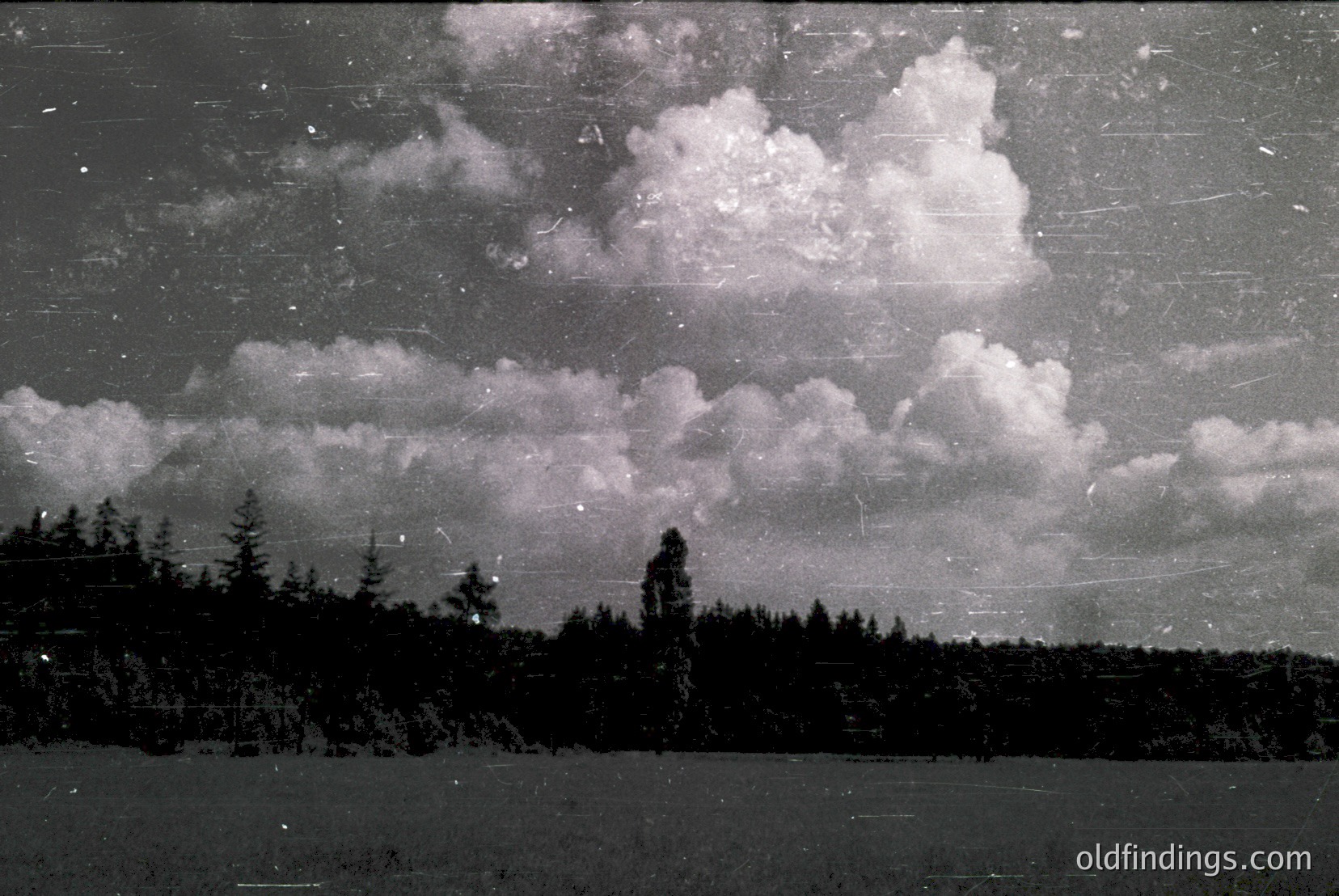 Vintage photograph