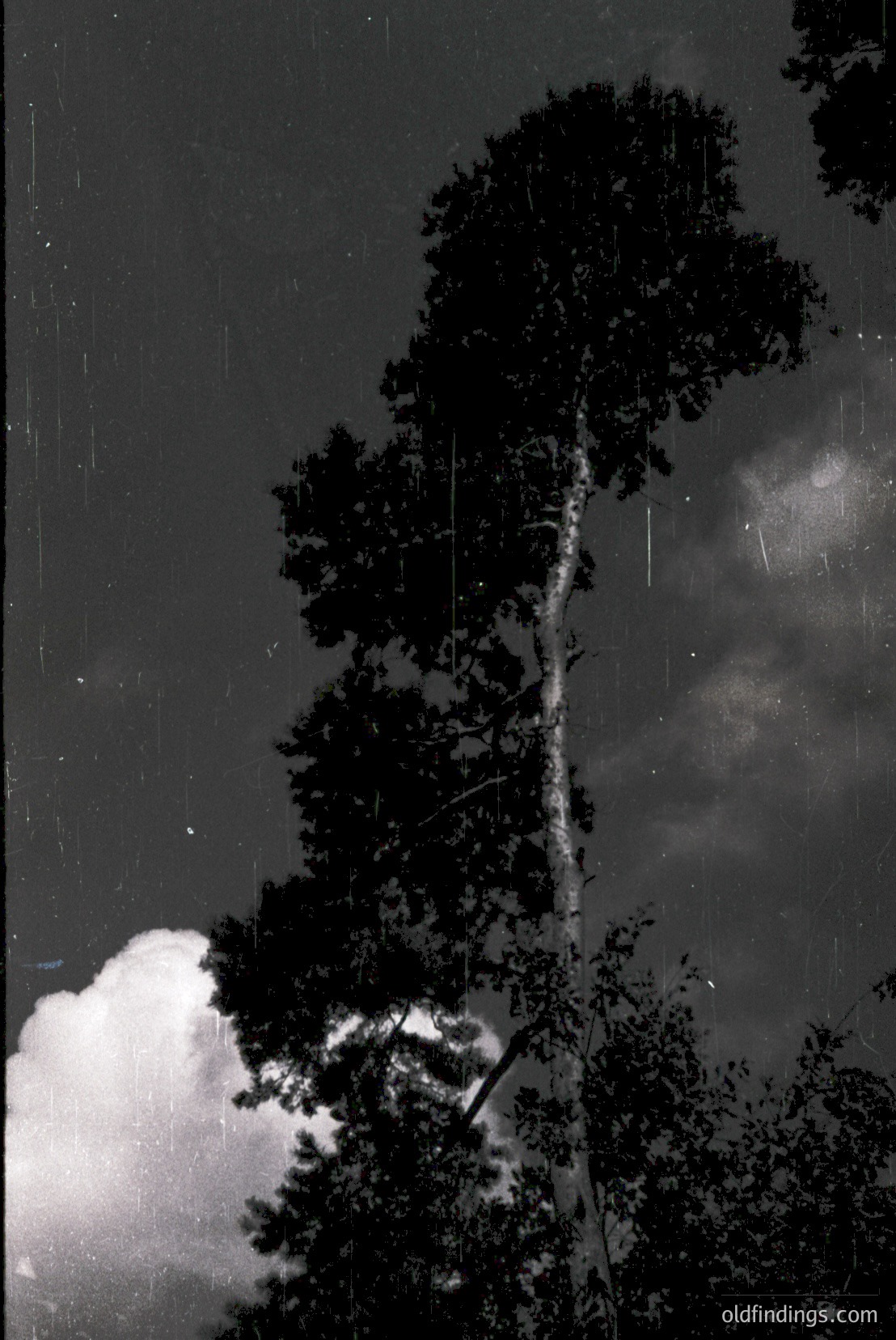 Vintage photograph