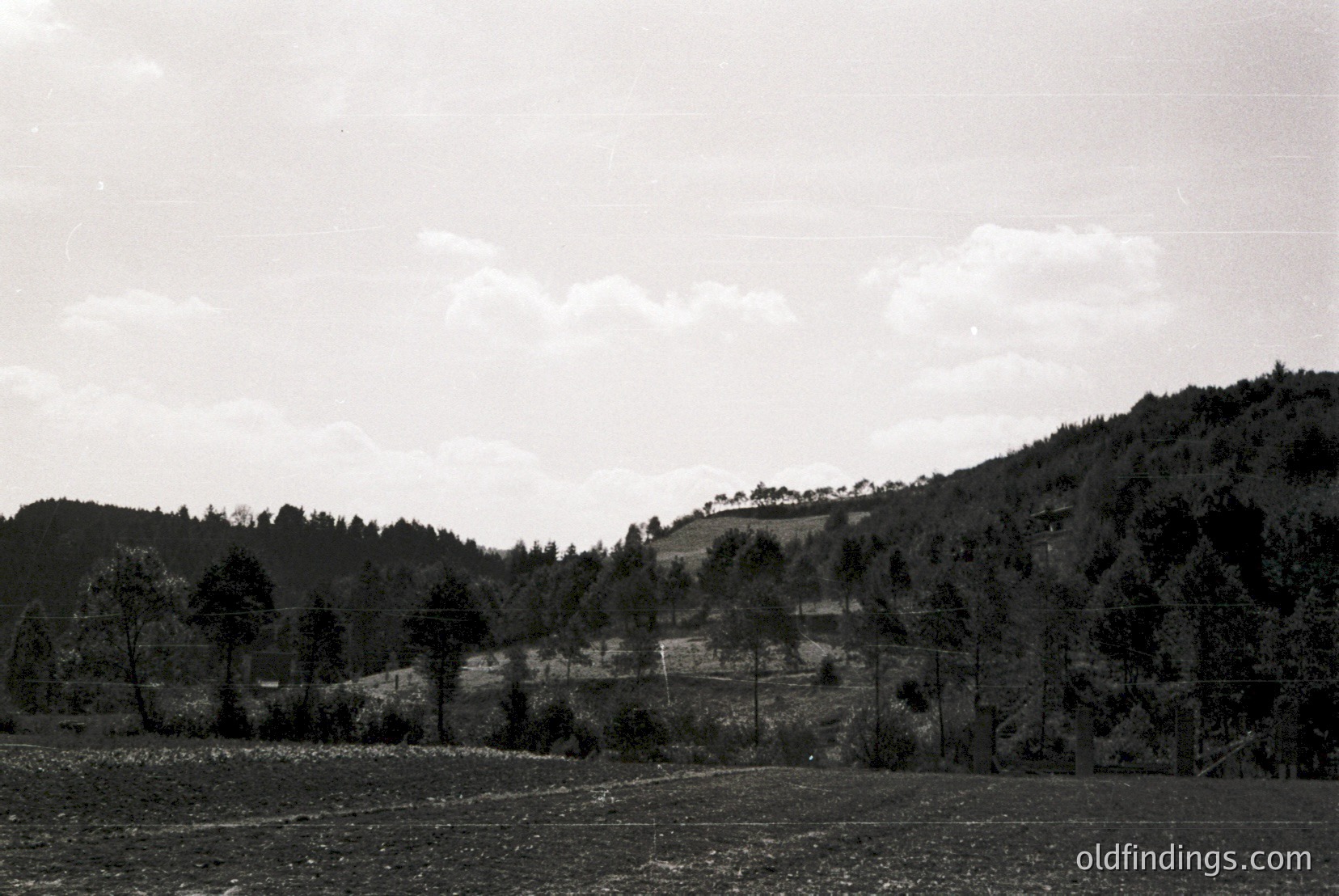 Vintage photograph