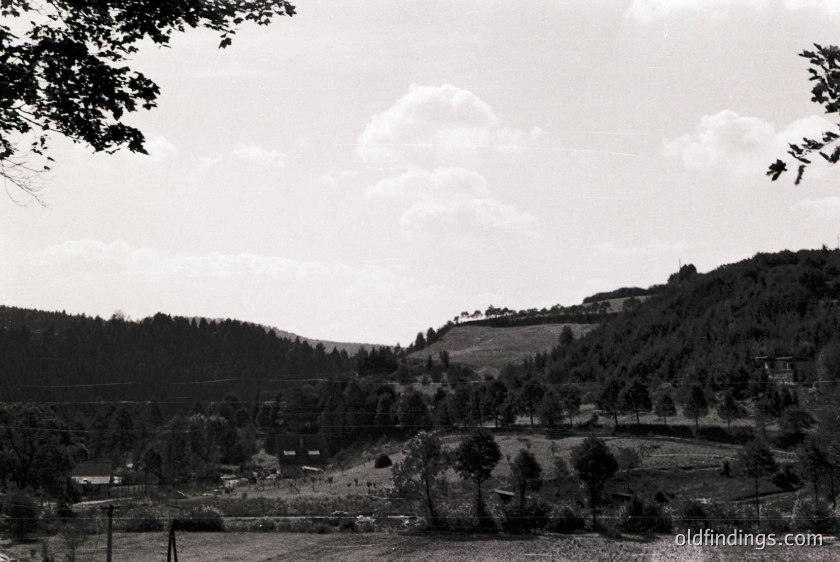 Vintage photograph