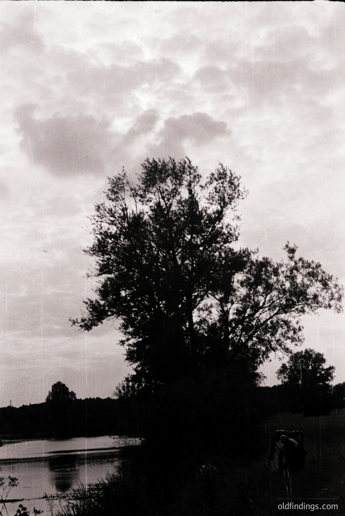 Vintage photograph