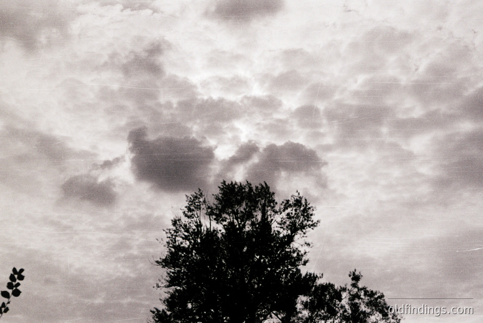 Vintage photograph