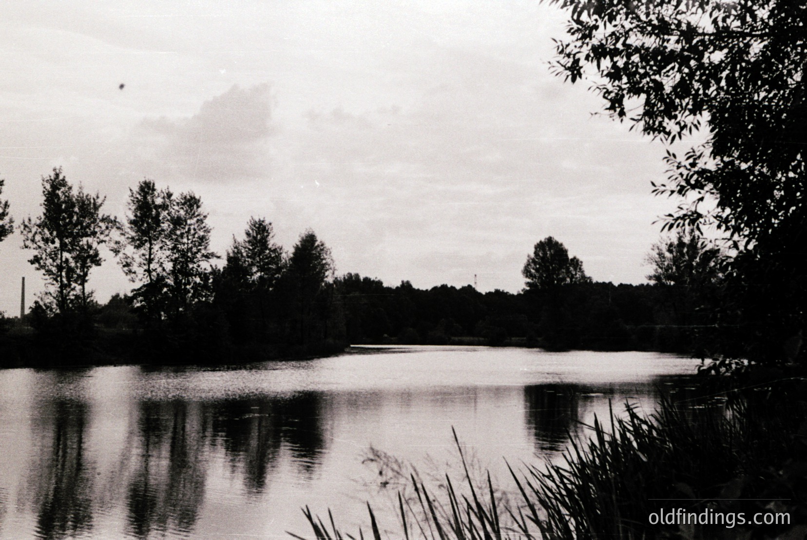 Vintage photograph