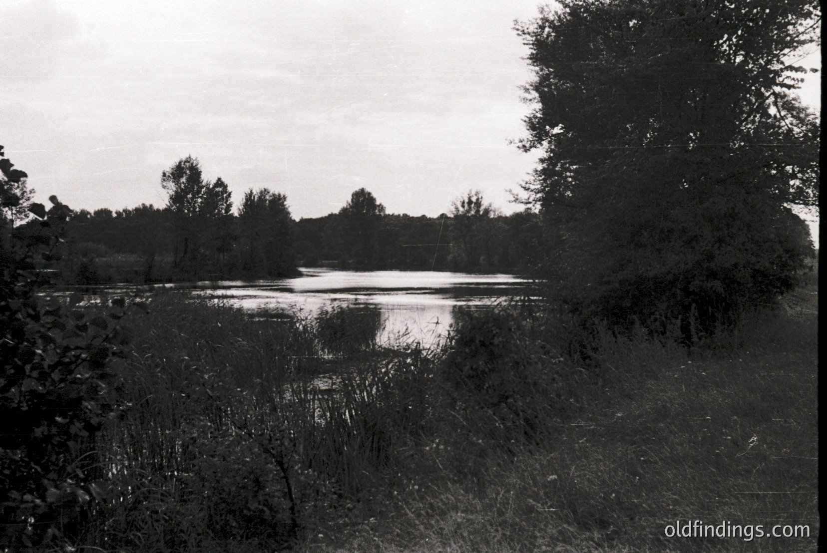 Vintage photograph