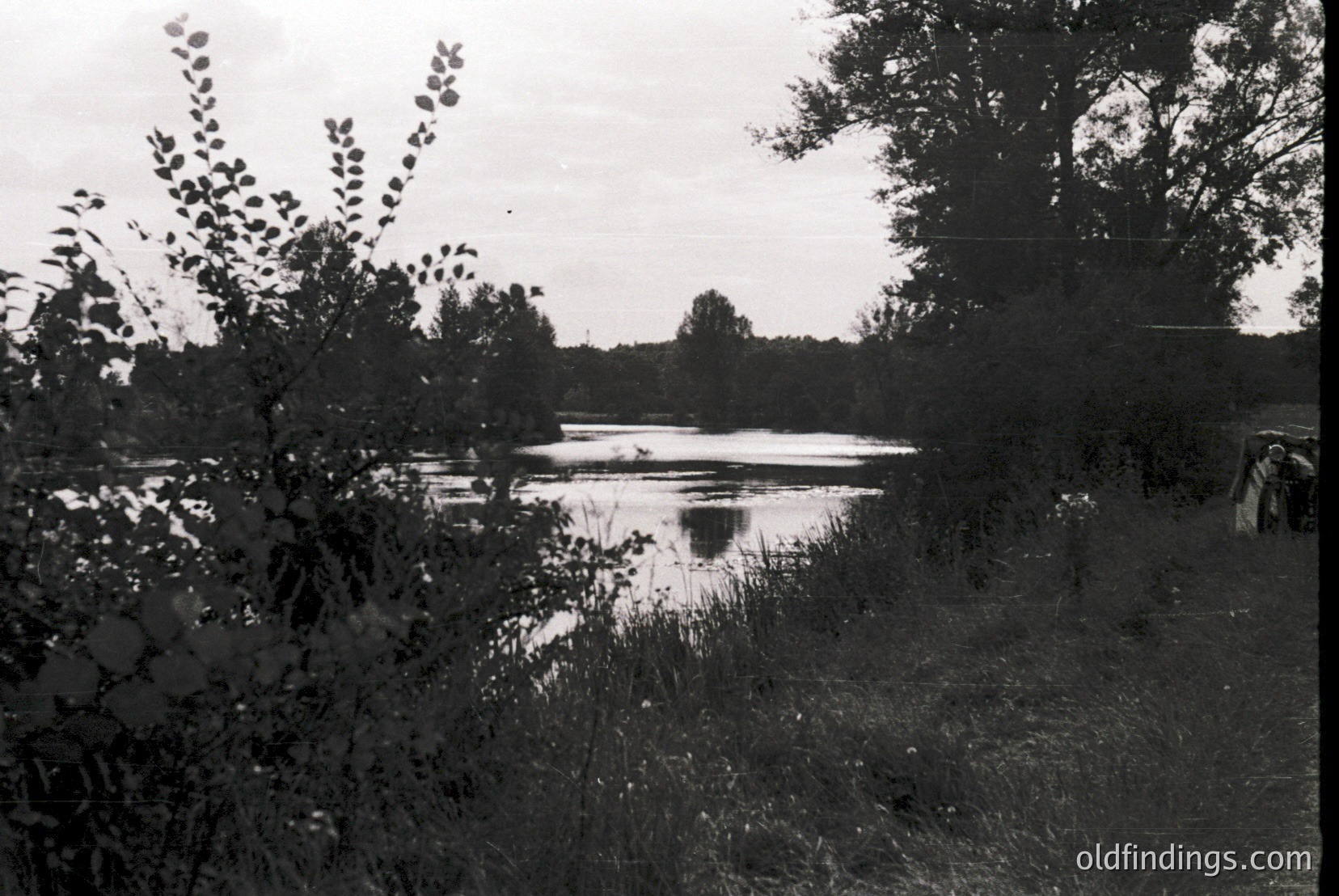 Vintage photograph