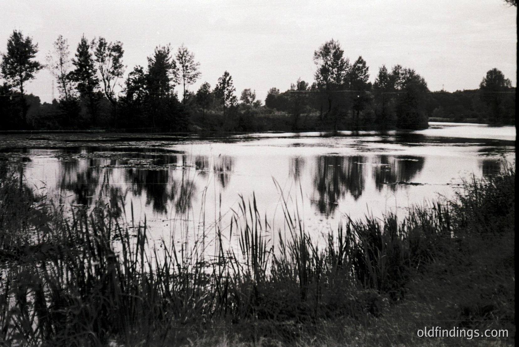 Vintage photograph