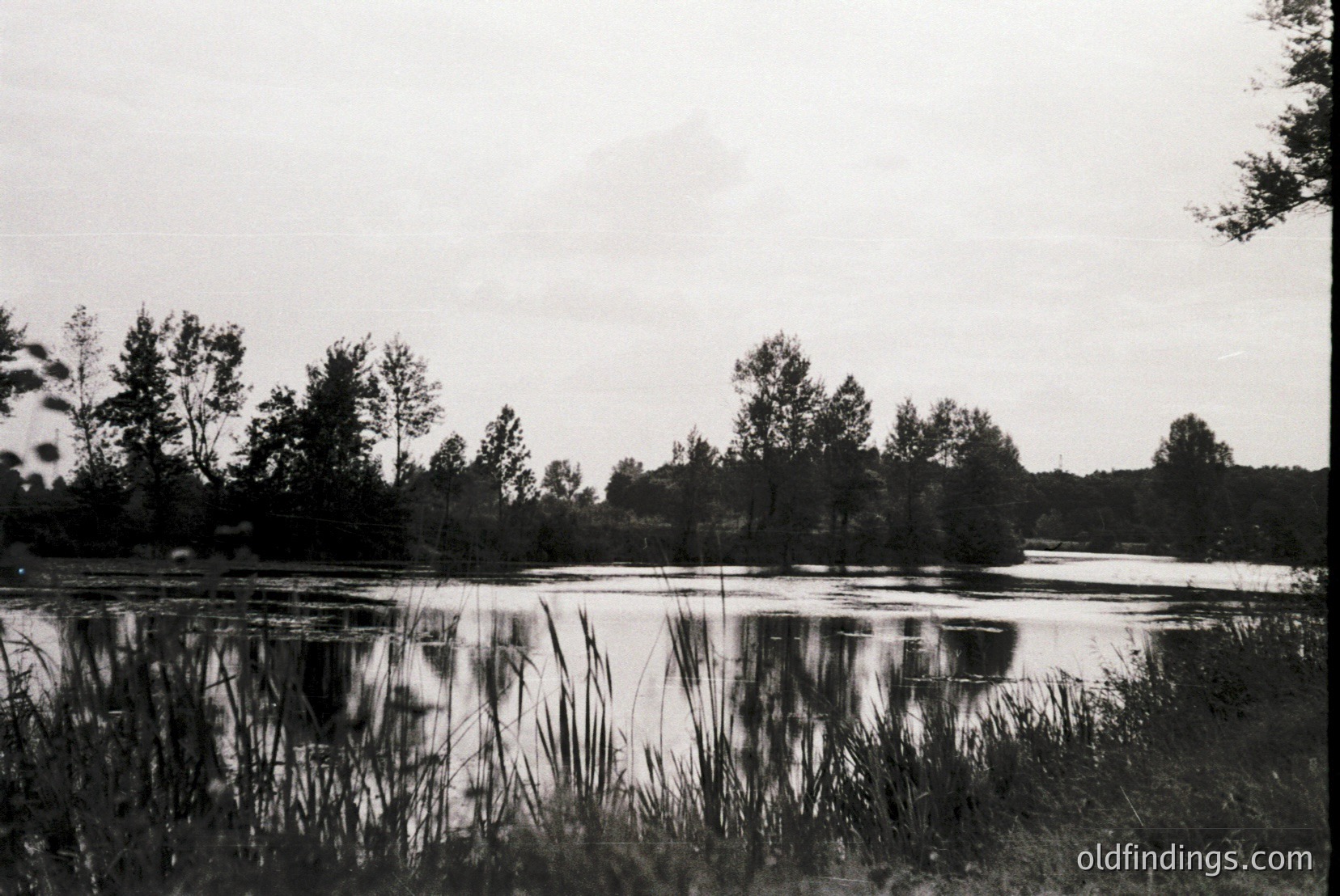 Vintage photograph