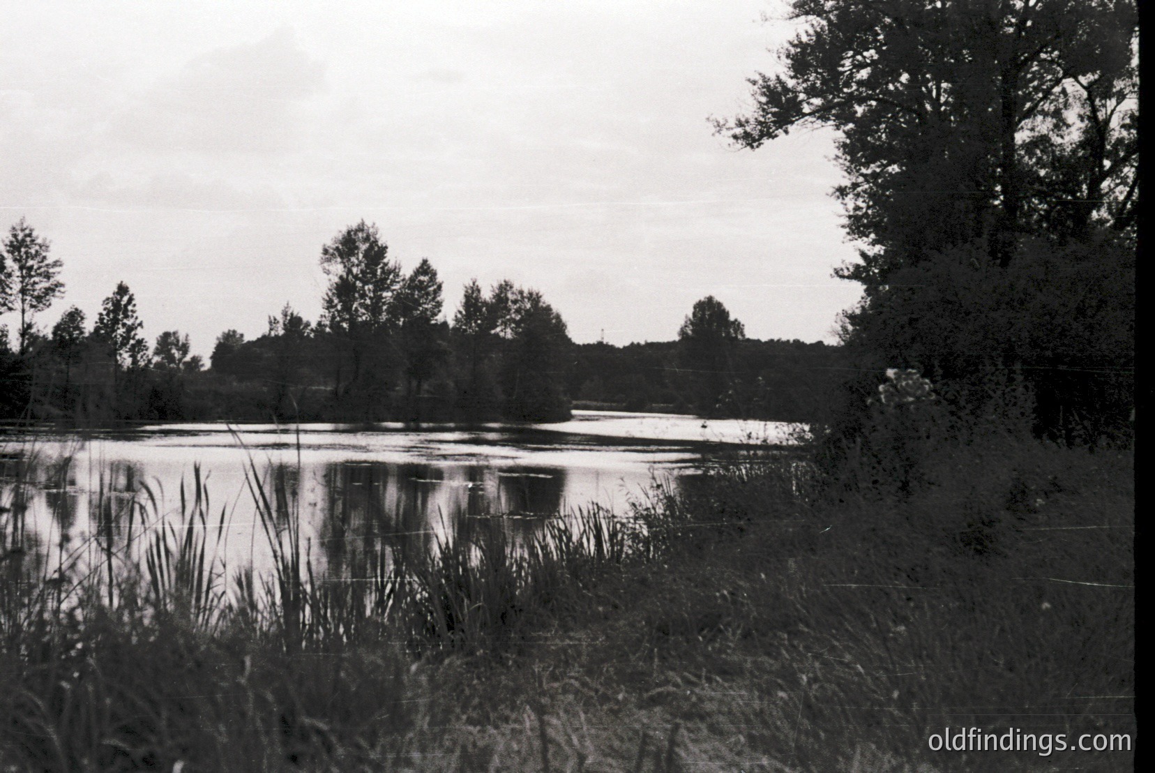 Vintage photograph