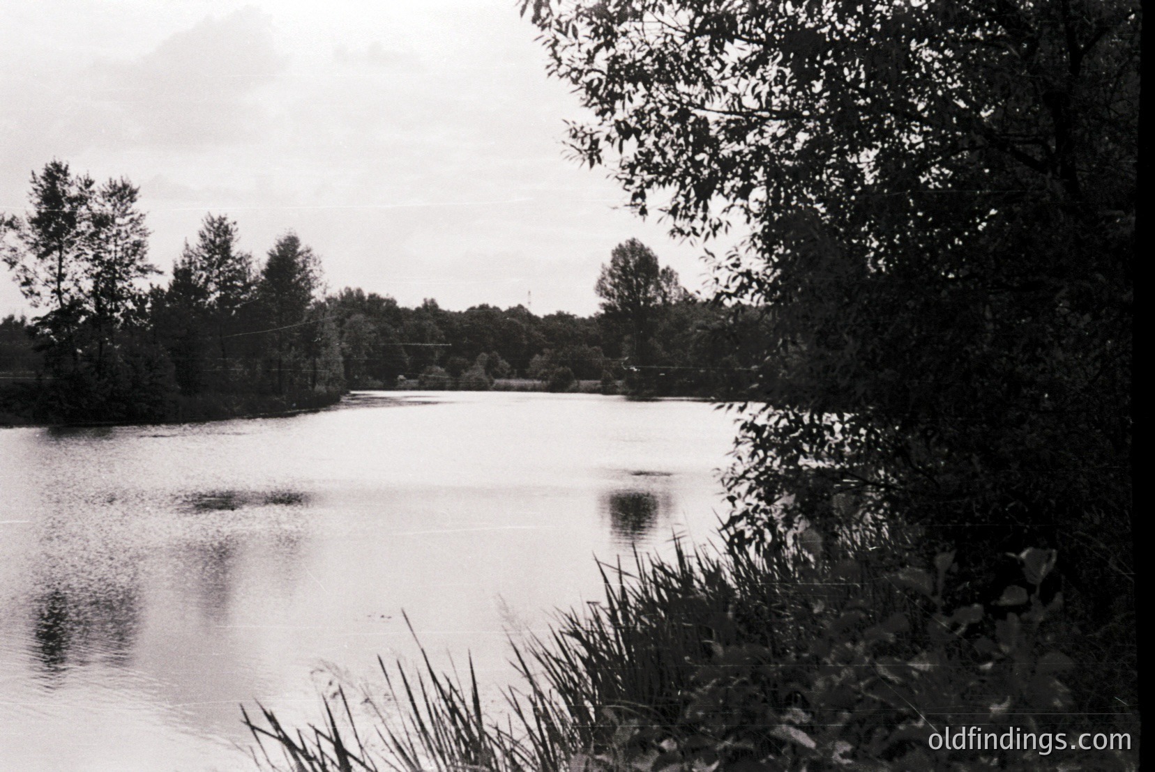 Vintage photograph