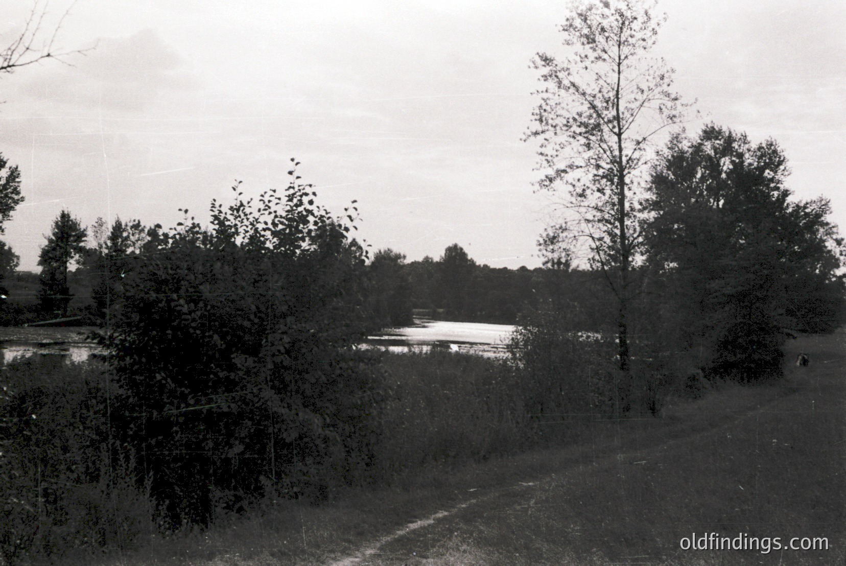 Vintage photograph