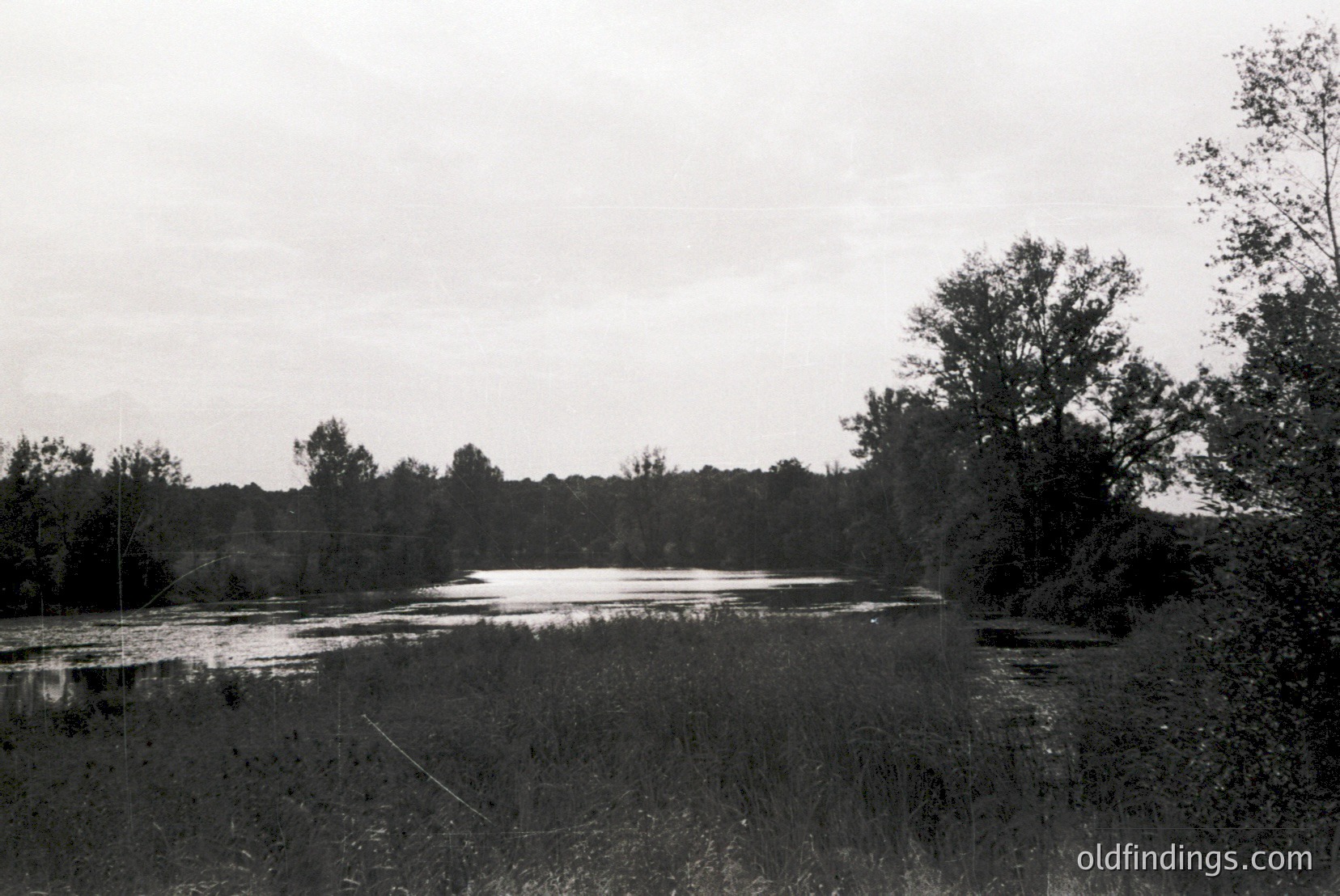 Vintage photograph