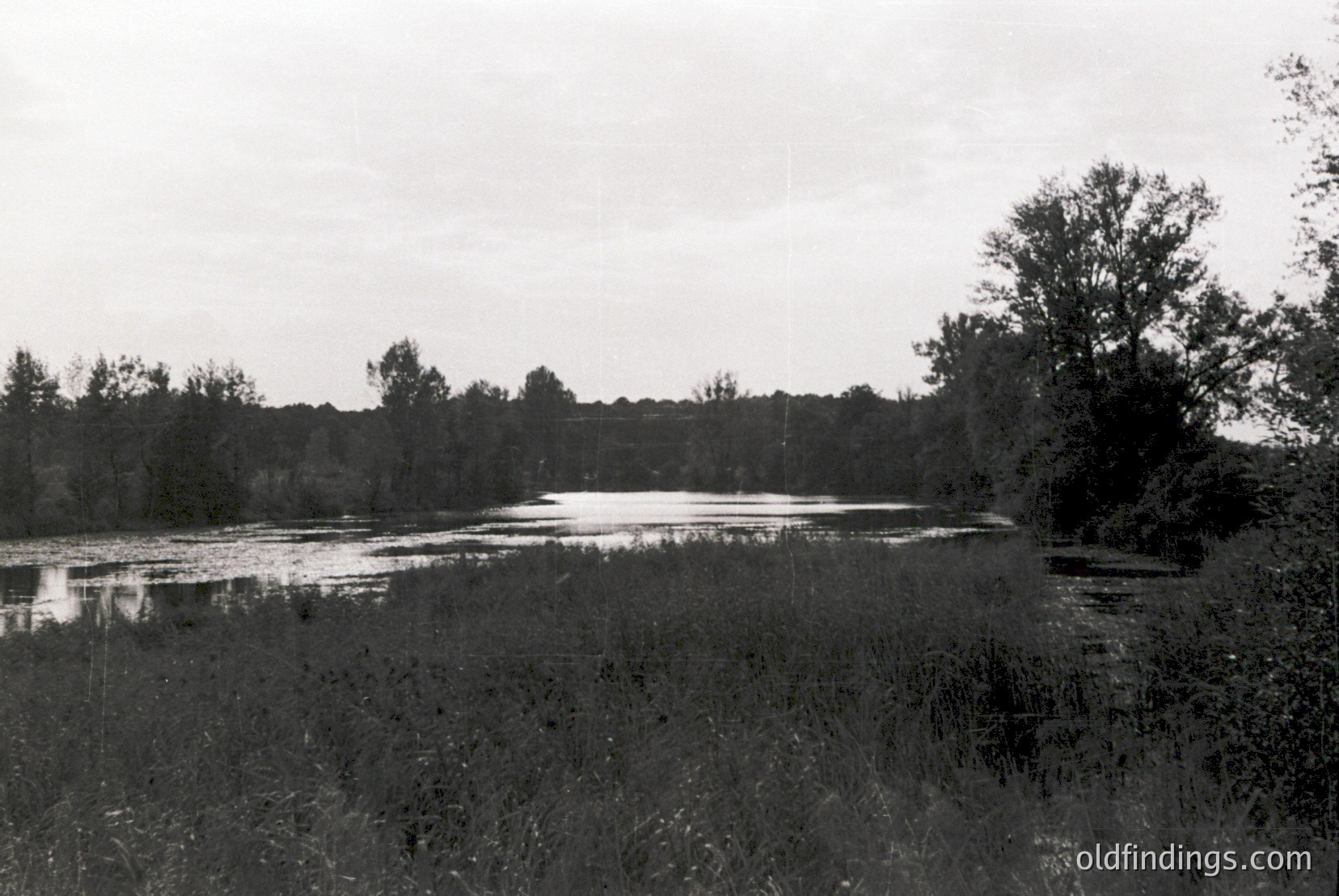 Vintage photograph