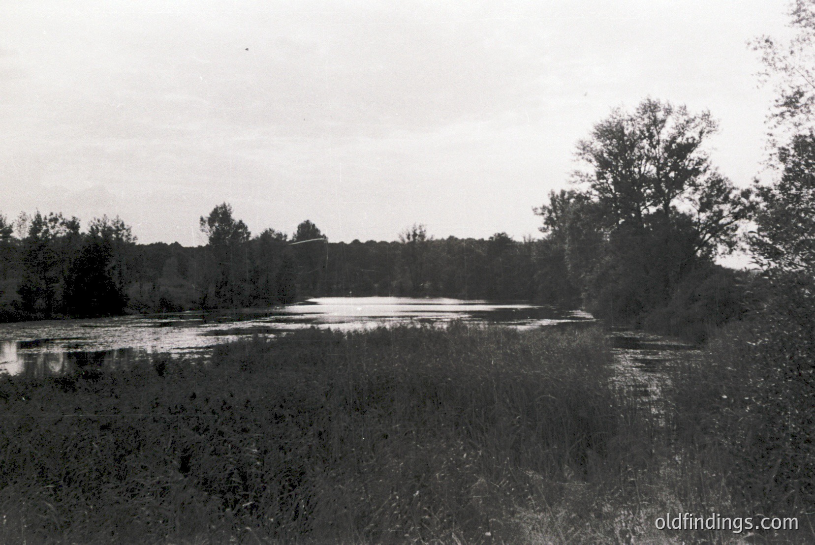Vintage photograph