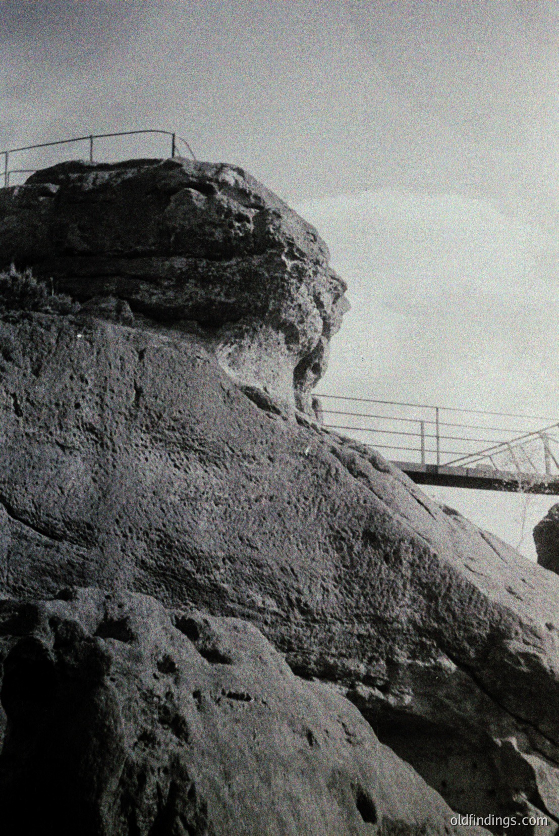 Vintage photograph