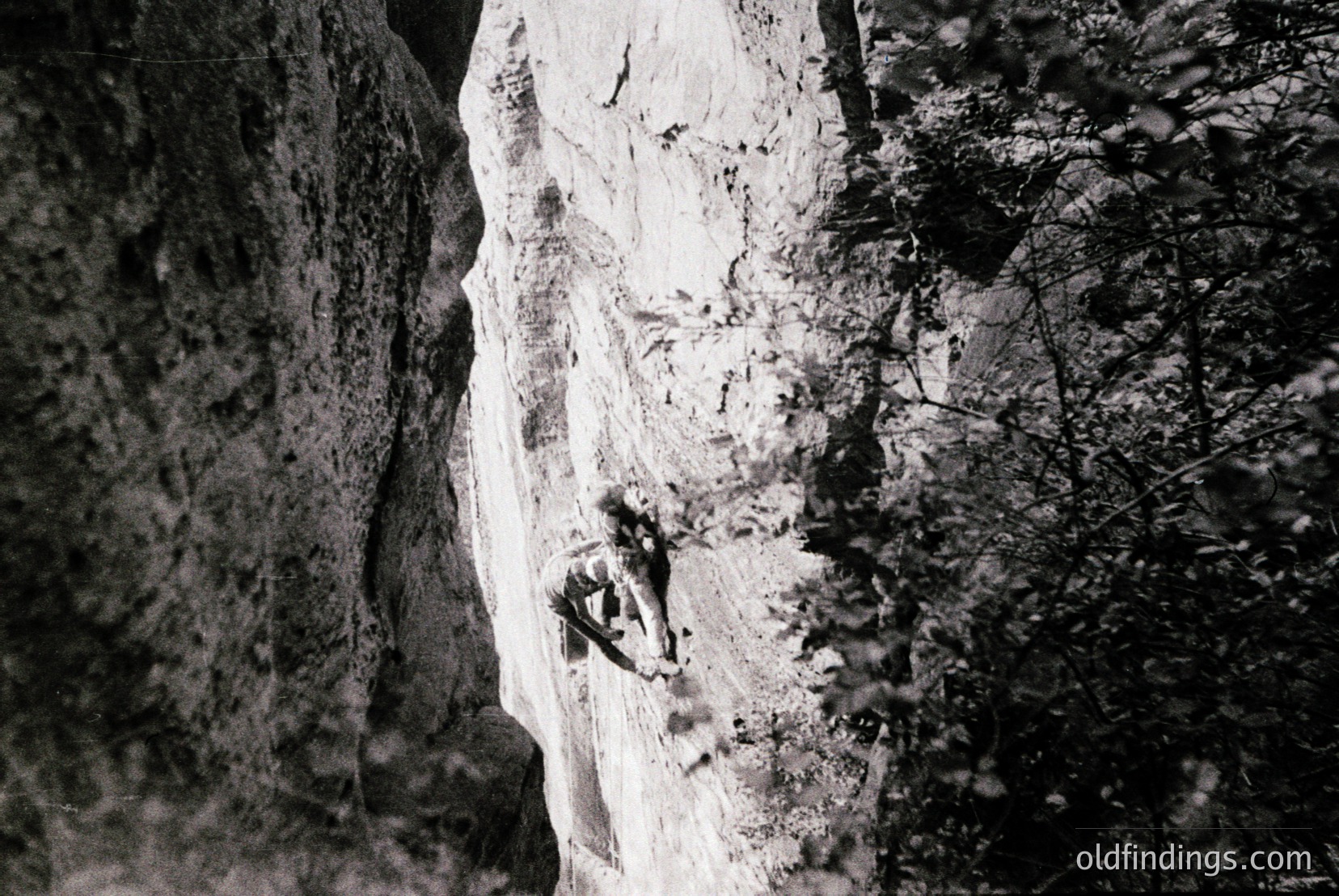 Vintage photograph