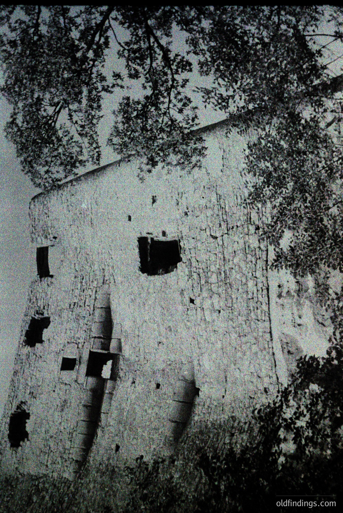 Vintage photograph