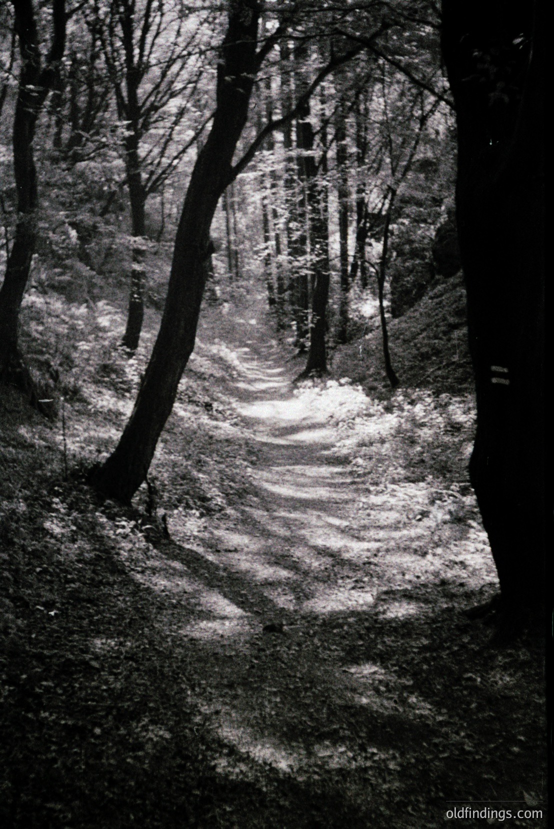 Vintage photograph