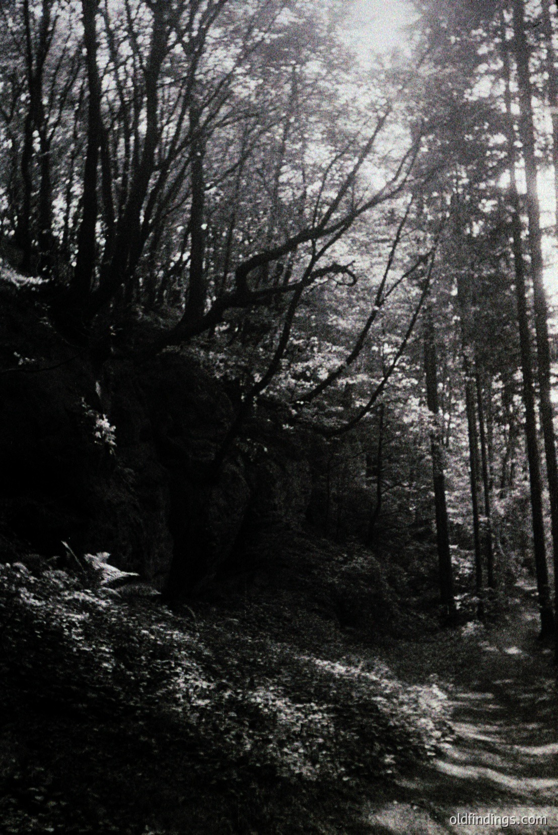 Vintage photograph