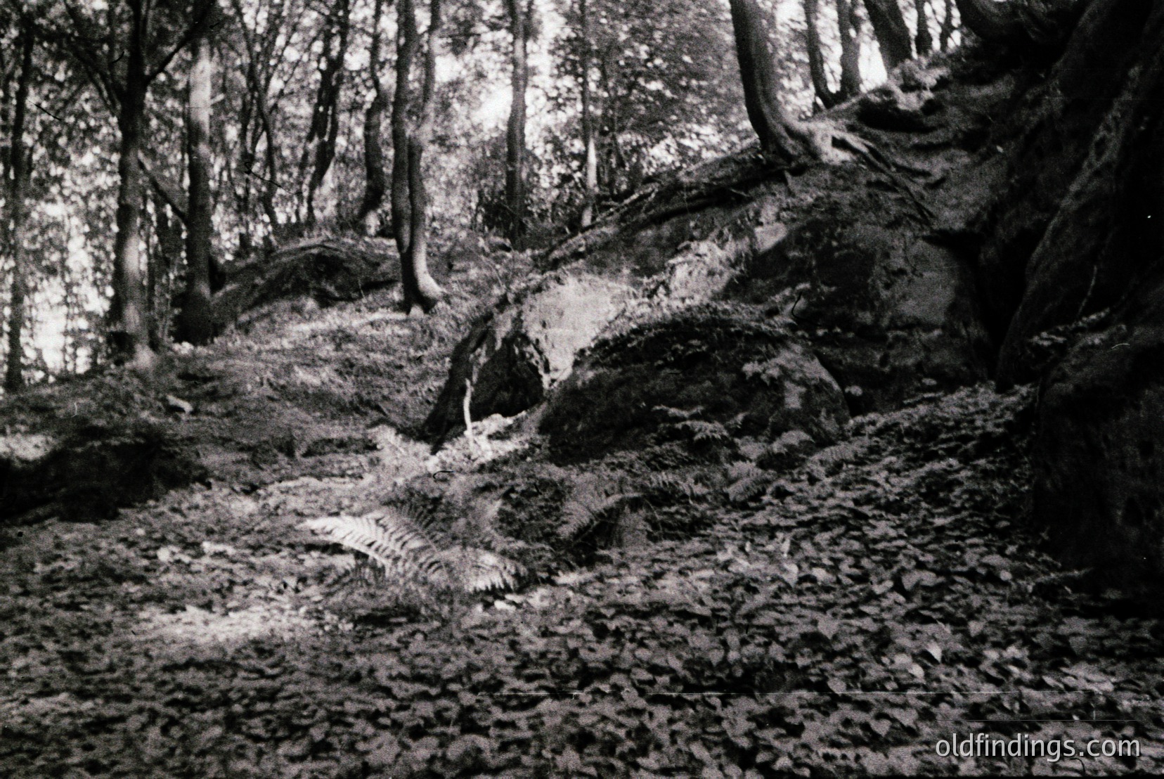 Vintage photograph