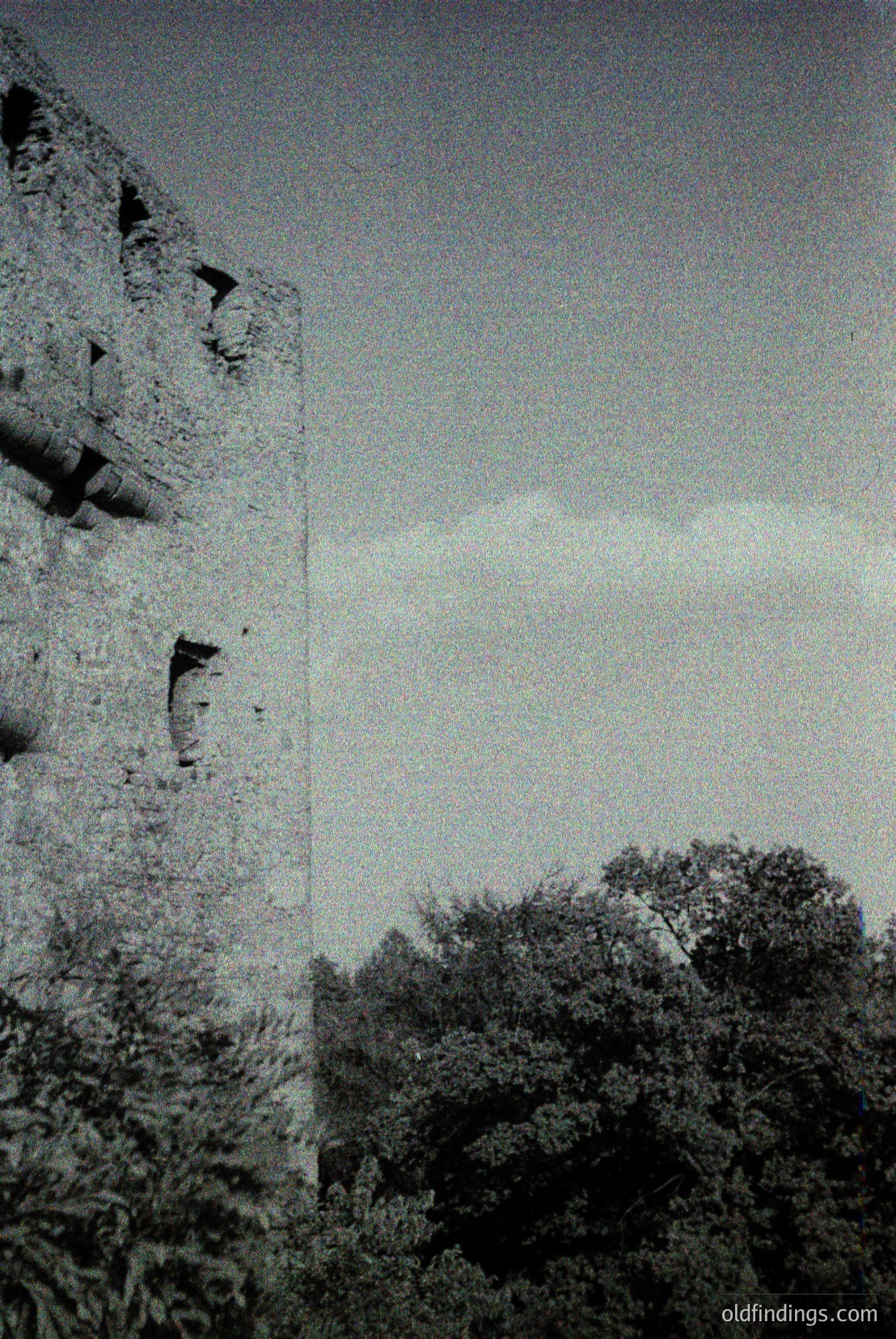 Vintage photograph