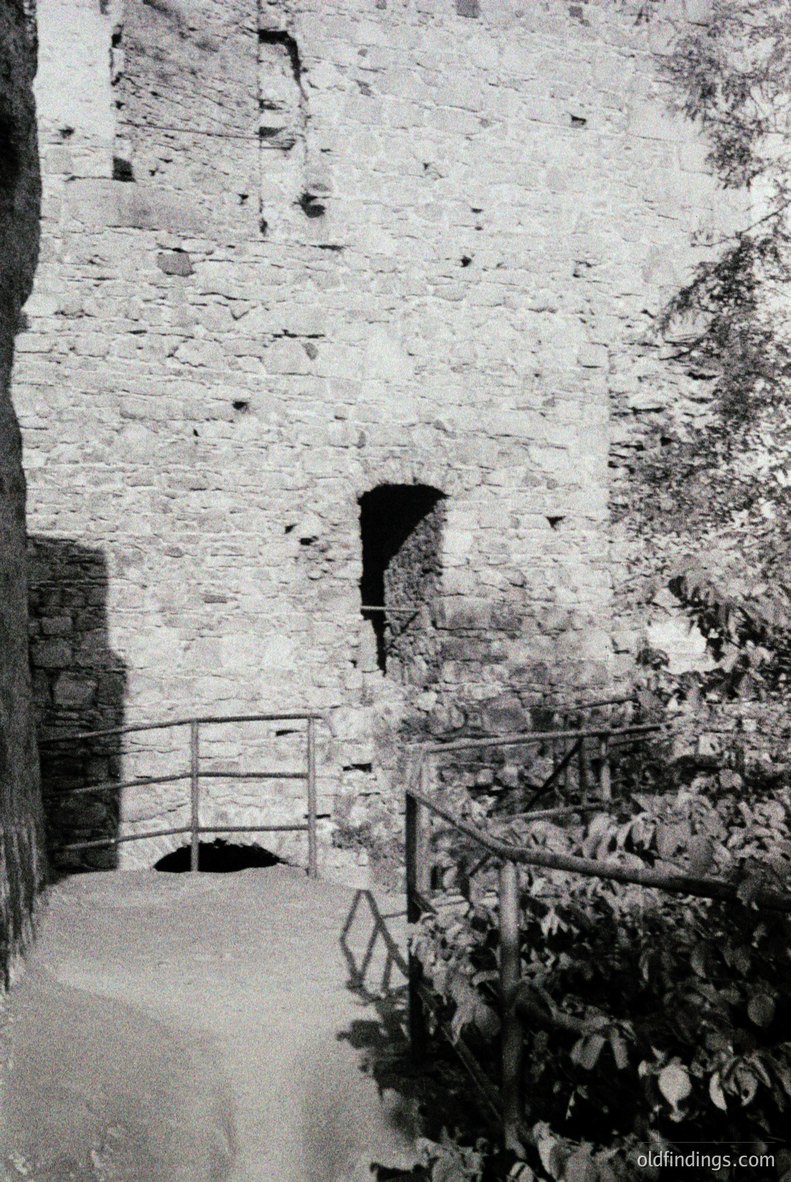 Vintage photograph