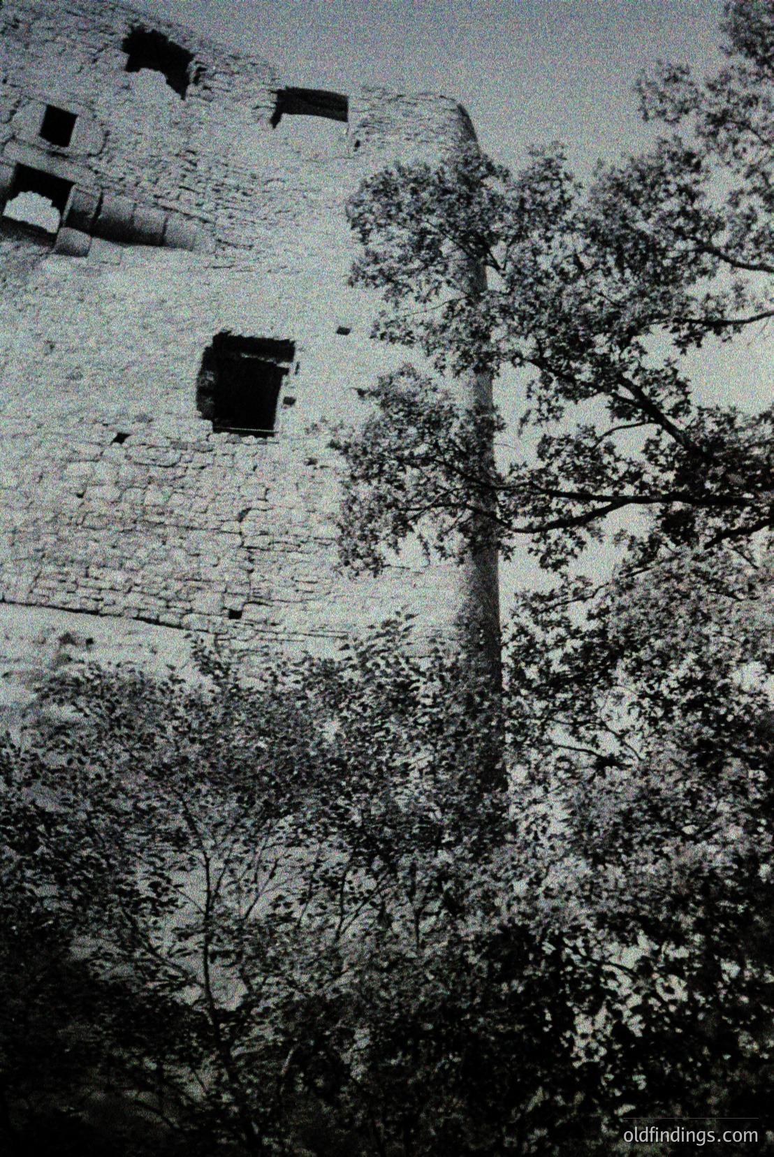 Vintage photograph