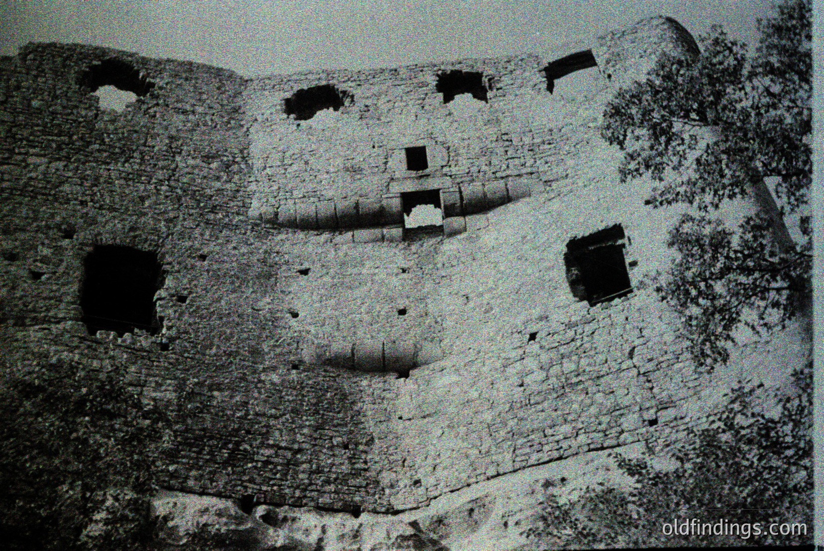 Vintage photograph