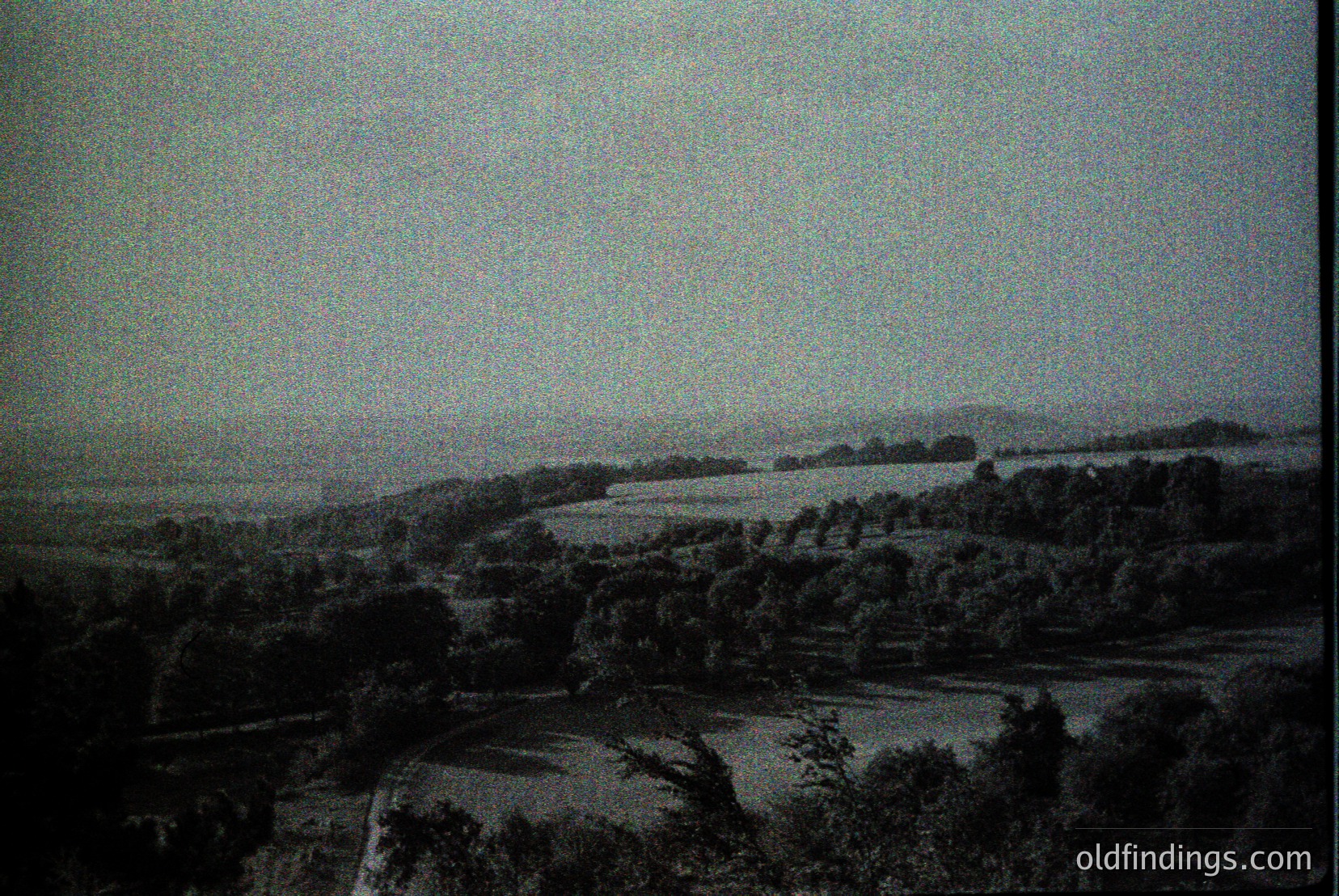 Vintage photograph