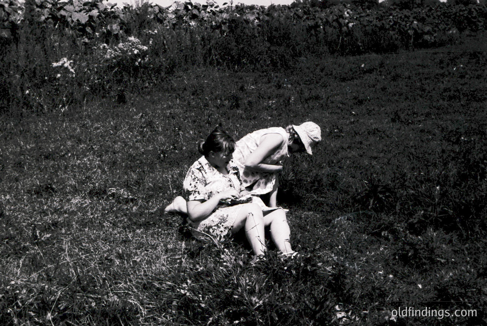 Vintage photograph