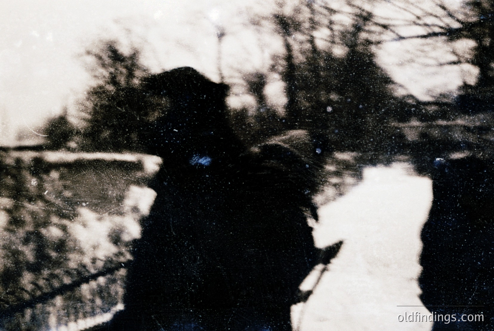 Vintage photograph