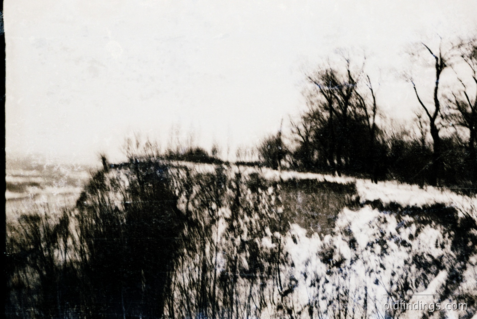 Vintage photograph