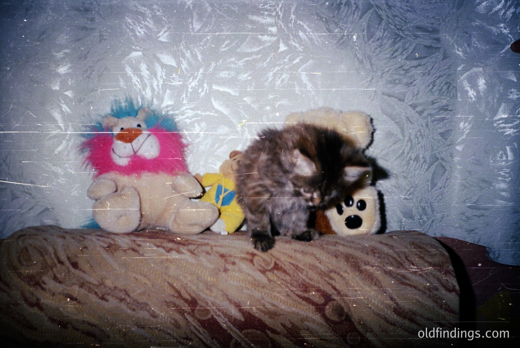 Vintage photograph