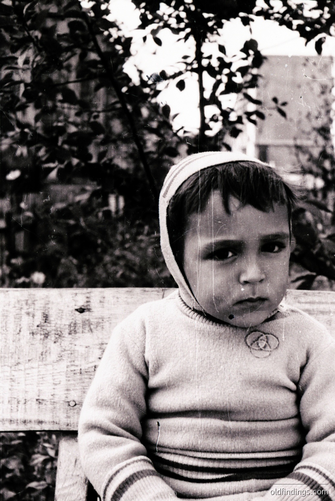 Vintage photograph