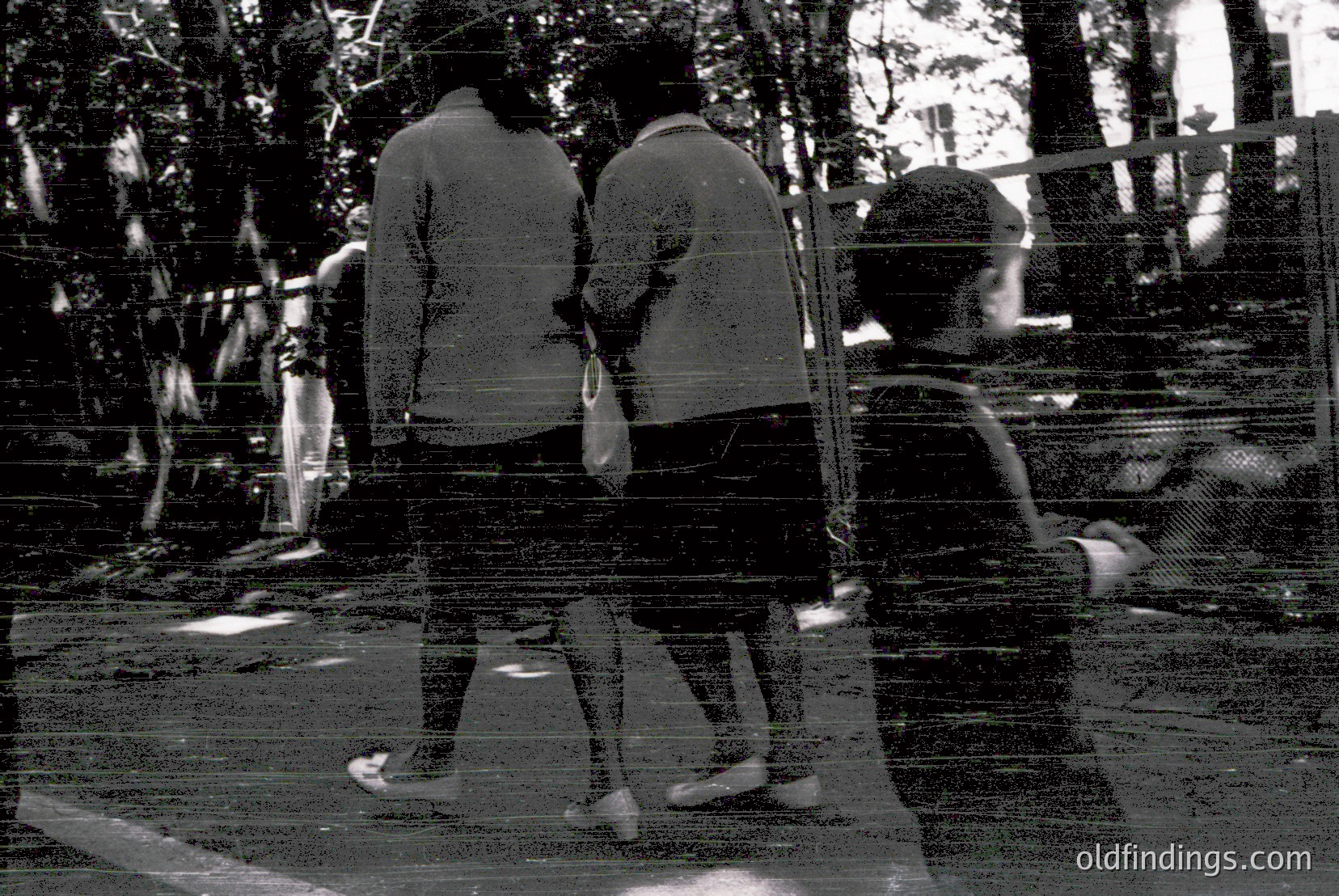 Vintage photograph