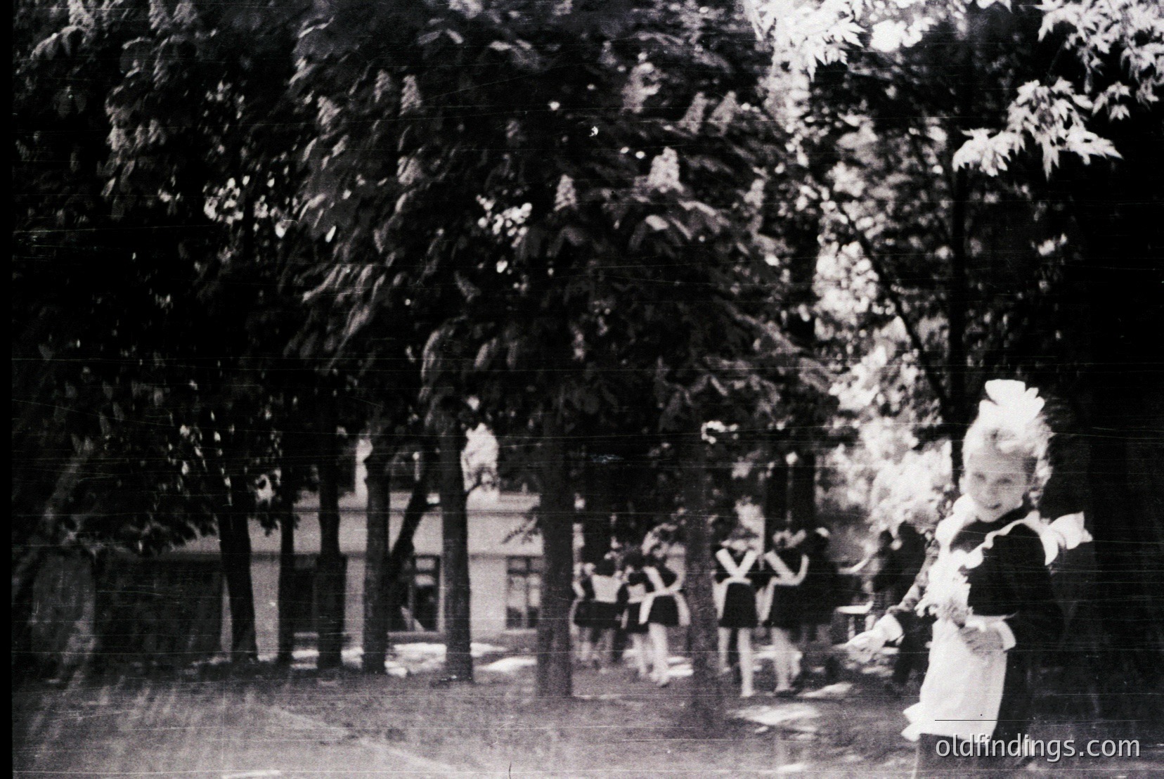 Vintage photograph