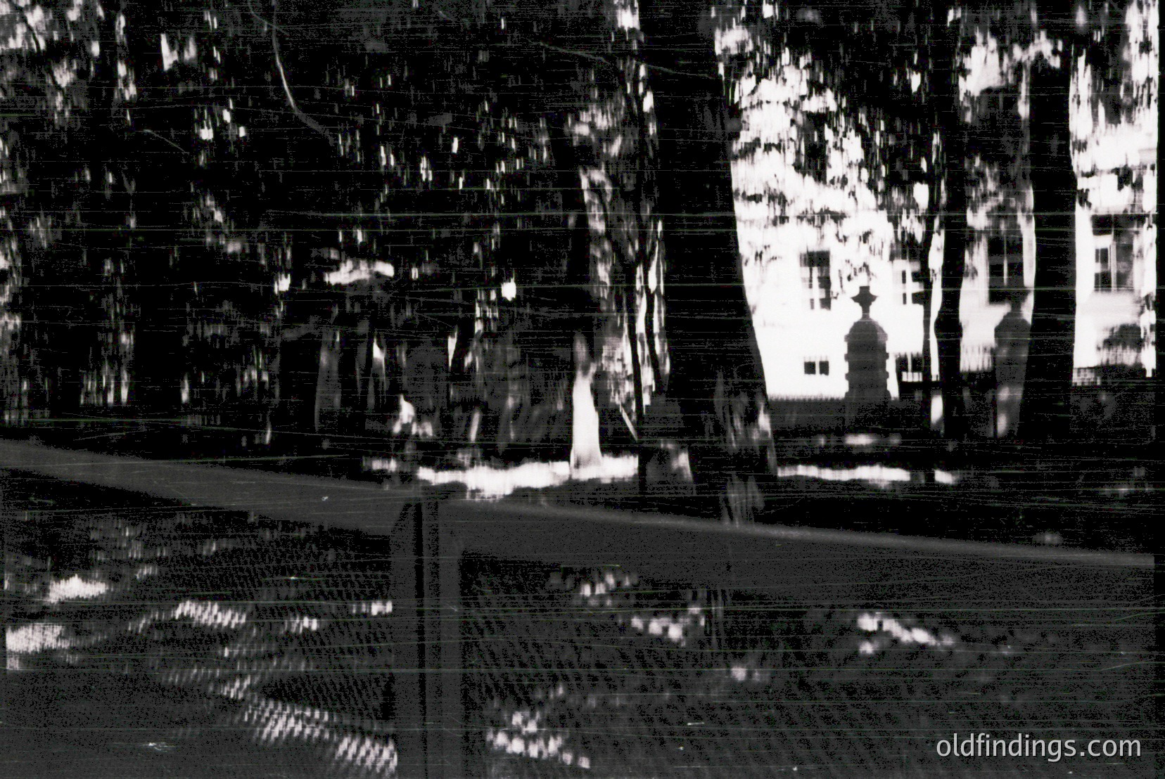 Vintage photograph