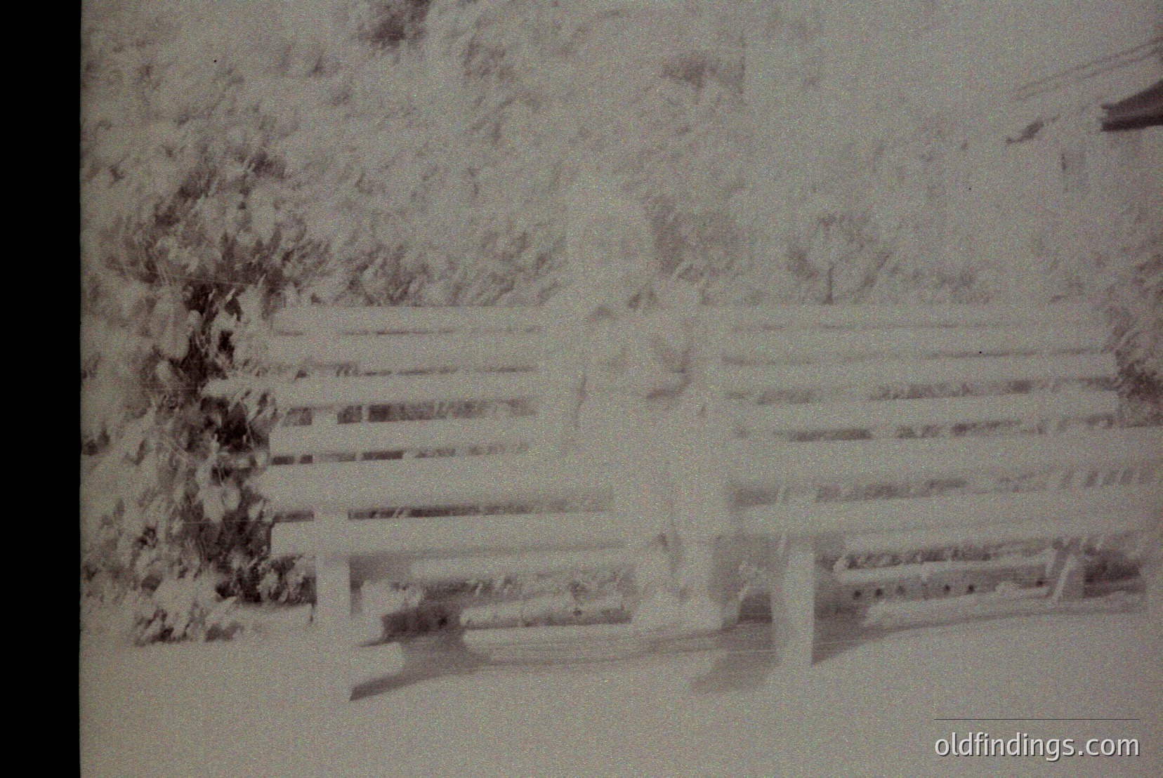 Vintage photograph