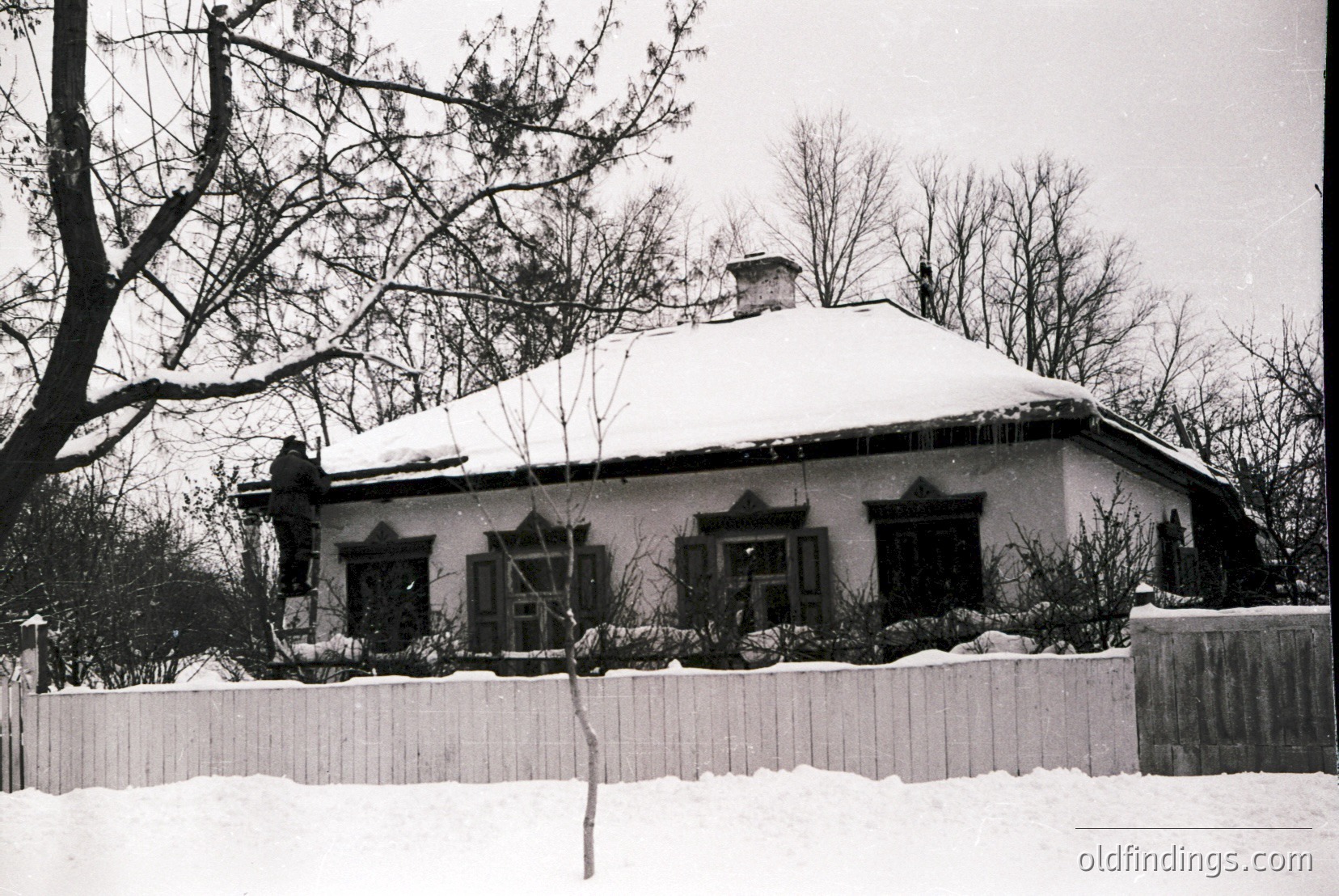 Vintage photograph