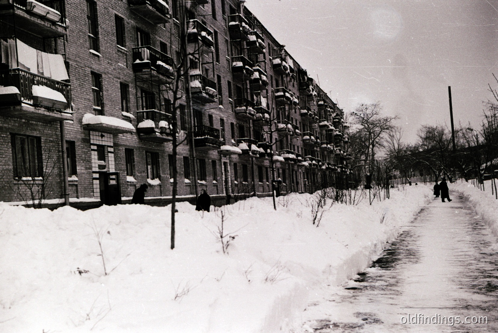 Vintage photograph