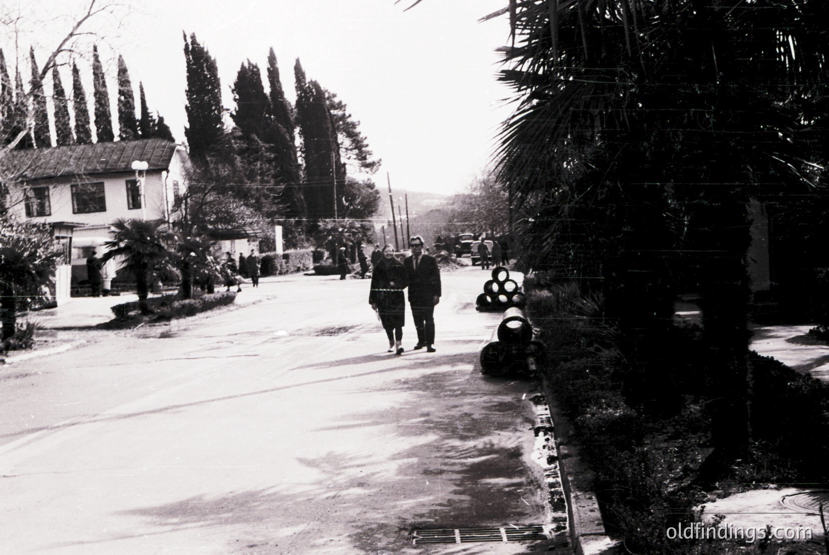 Vintage photograph