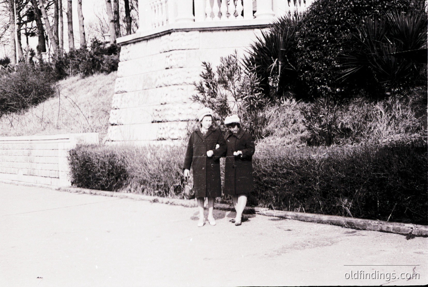 Vintage photograph