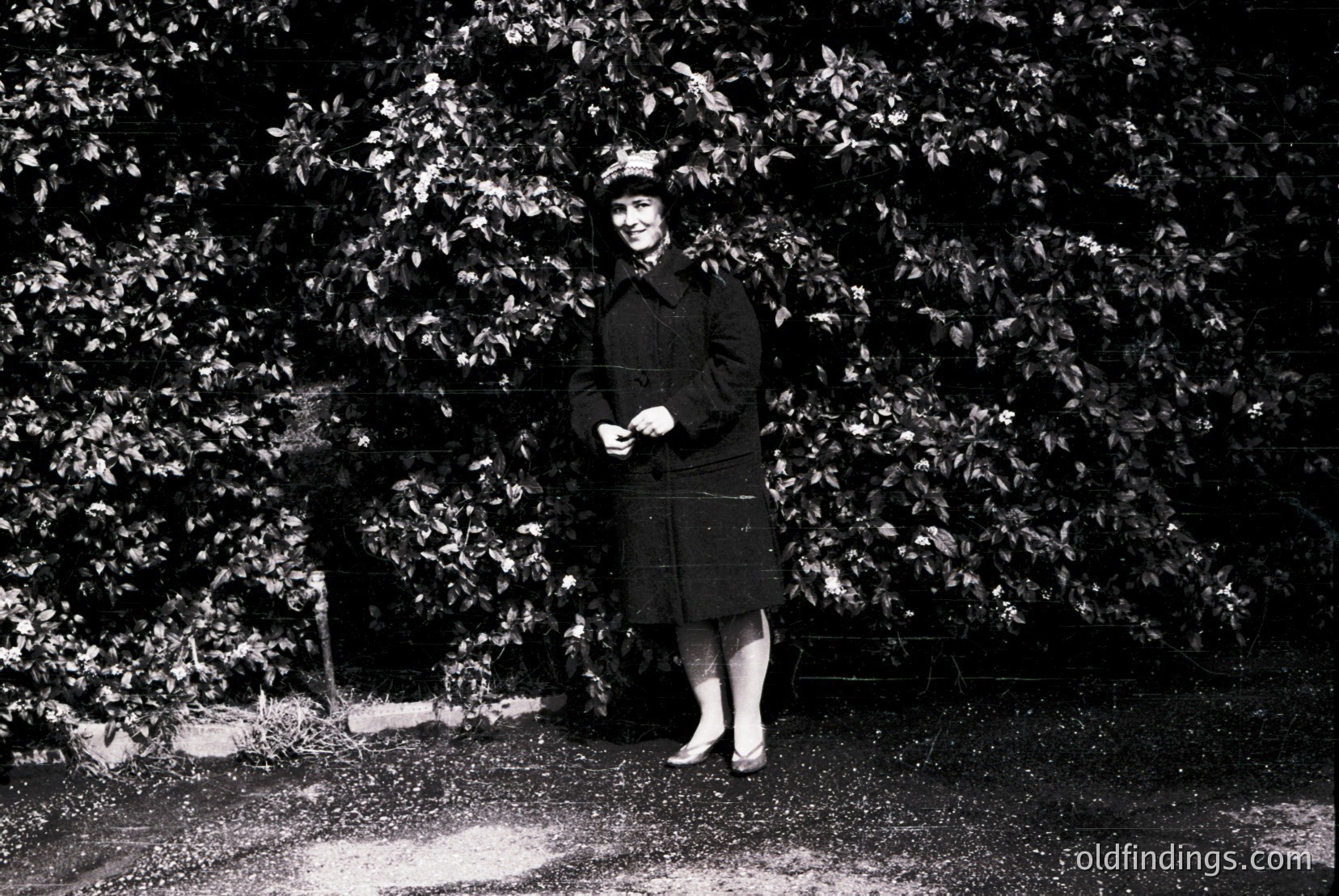 Vintage photograph