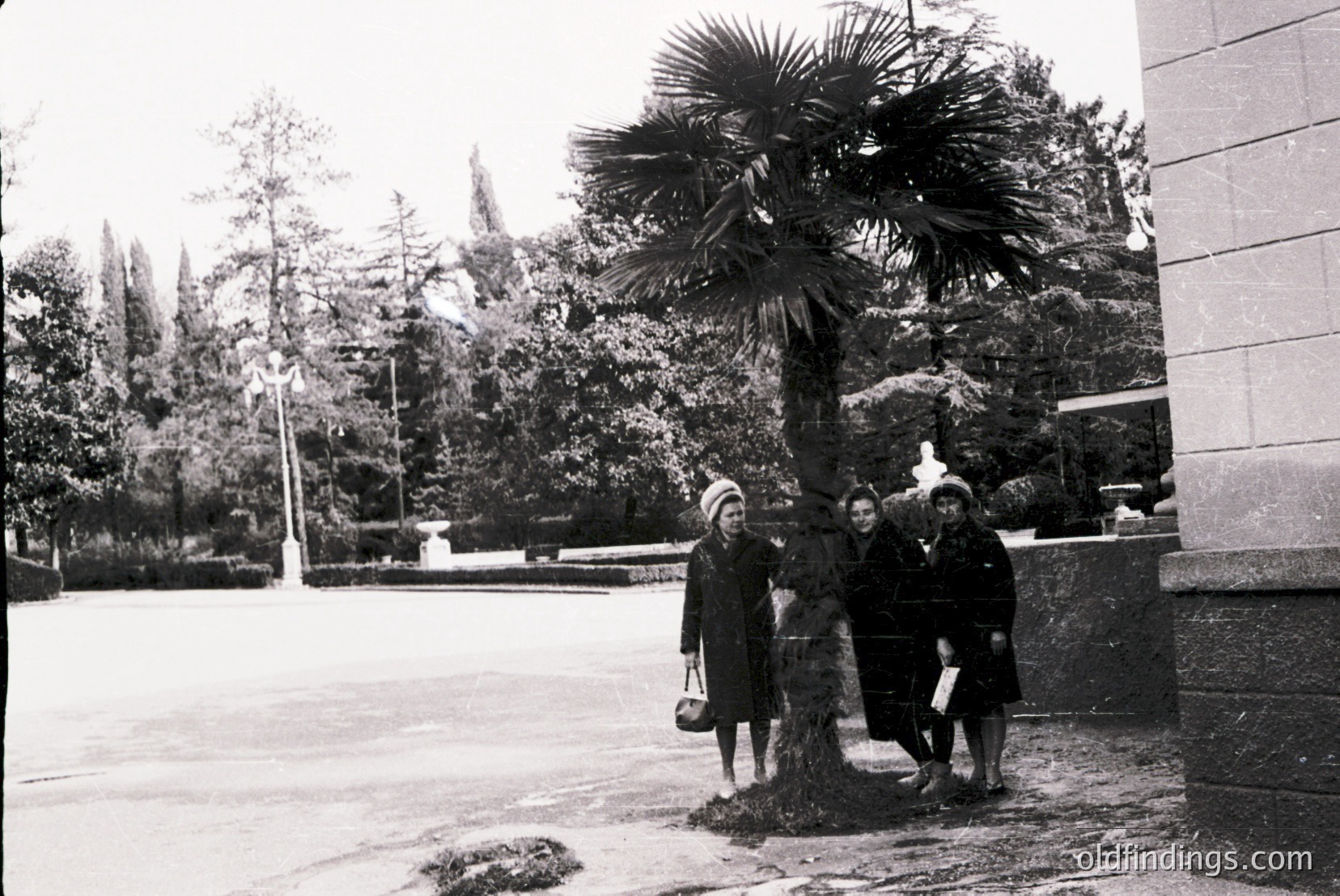 Vintage photograph