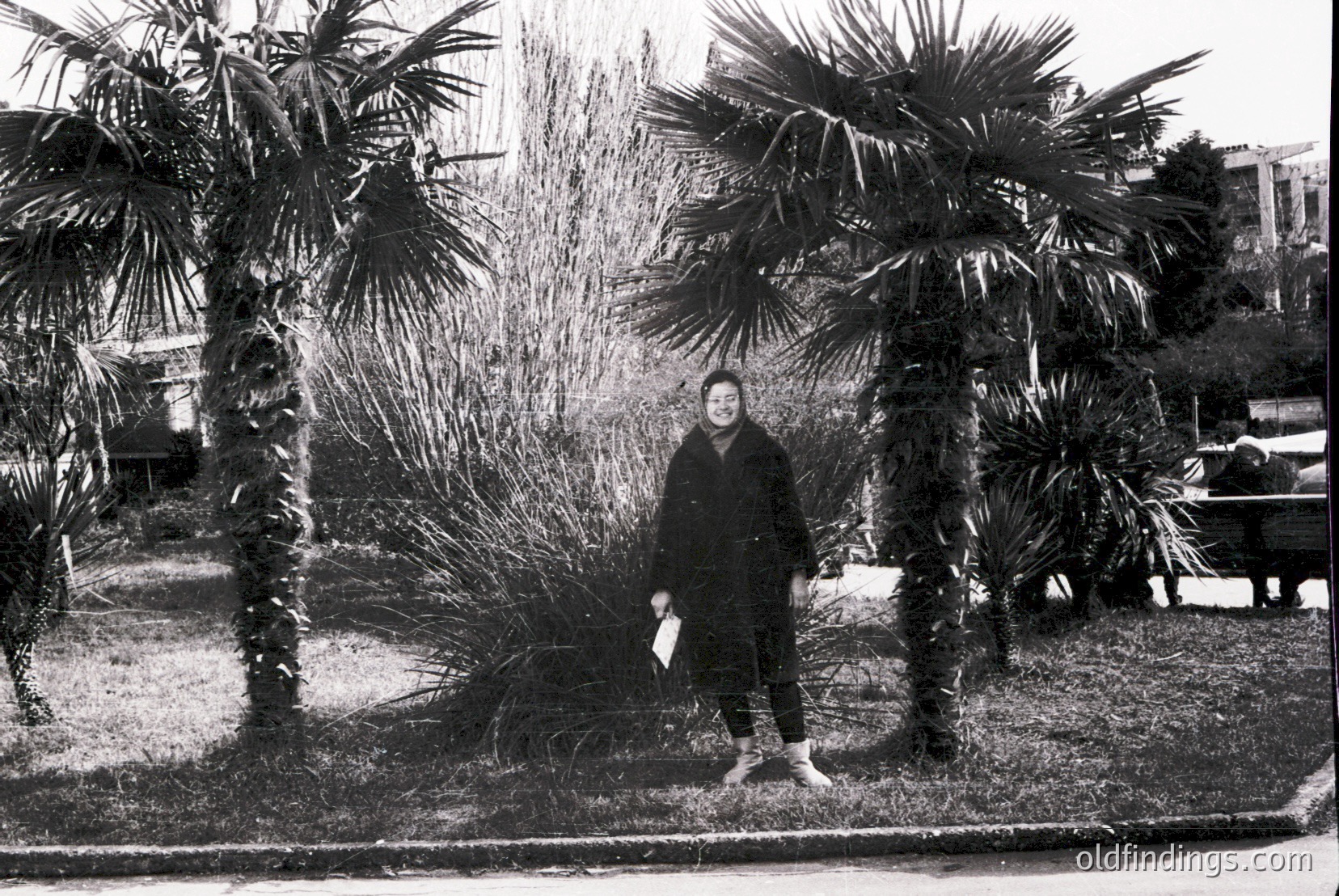 Vintage photograph