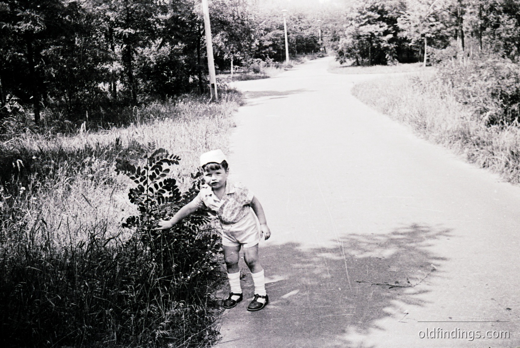 Vintage photograph