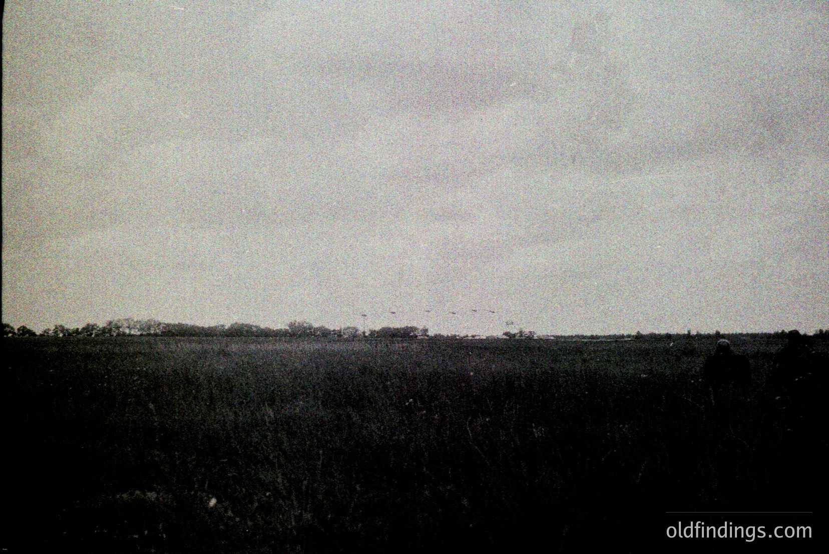 Vintage photograph