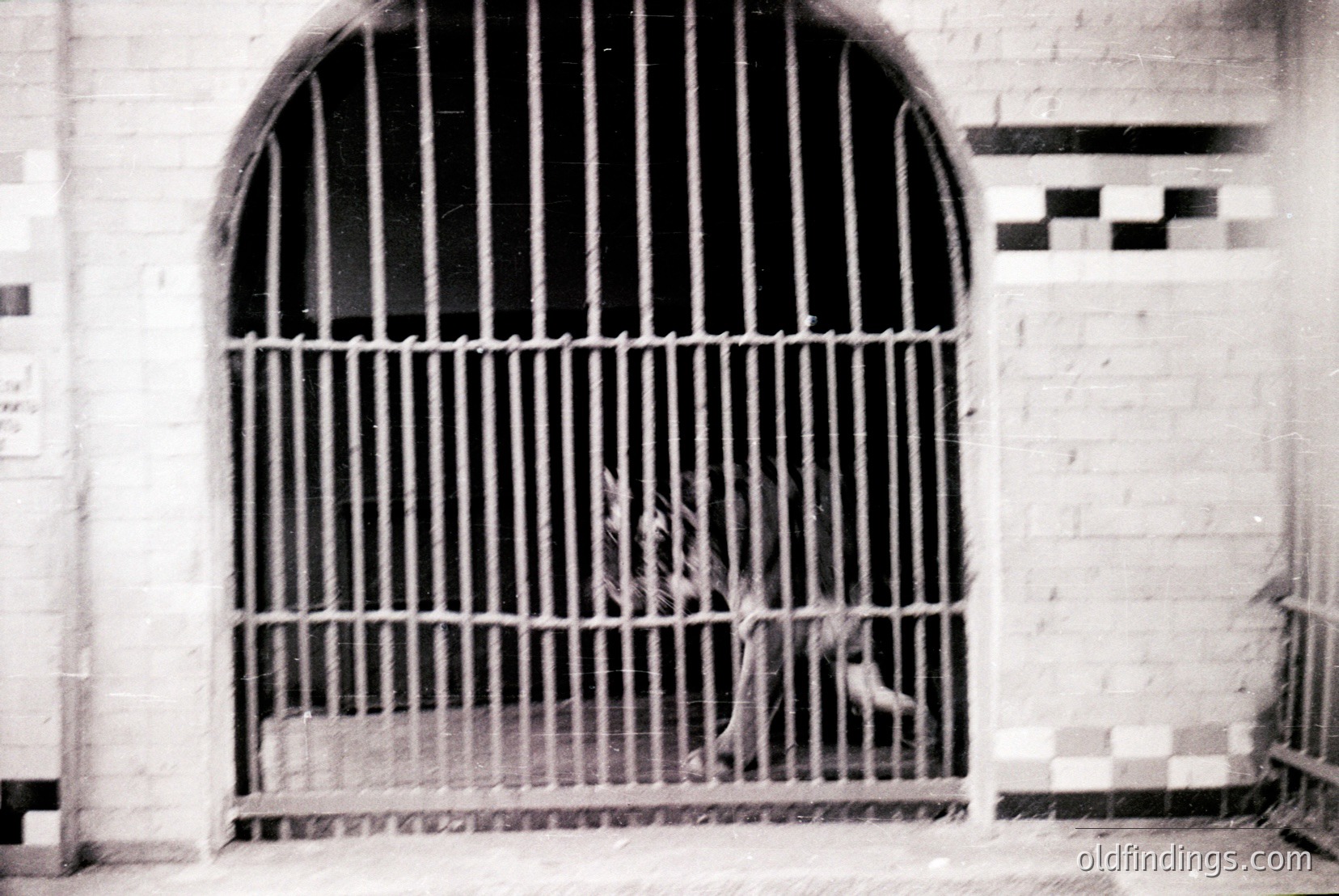 Vintage photograph