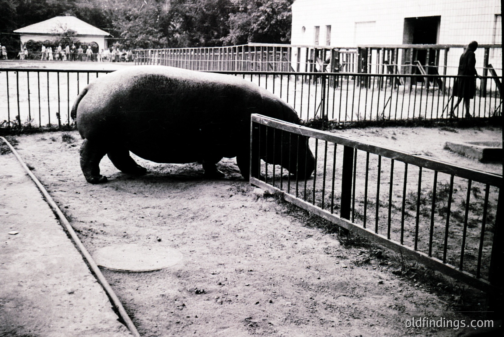 Vintage photograph